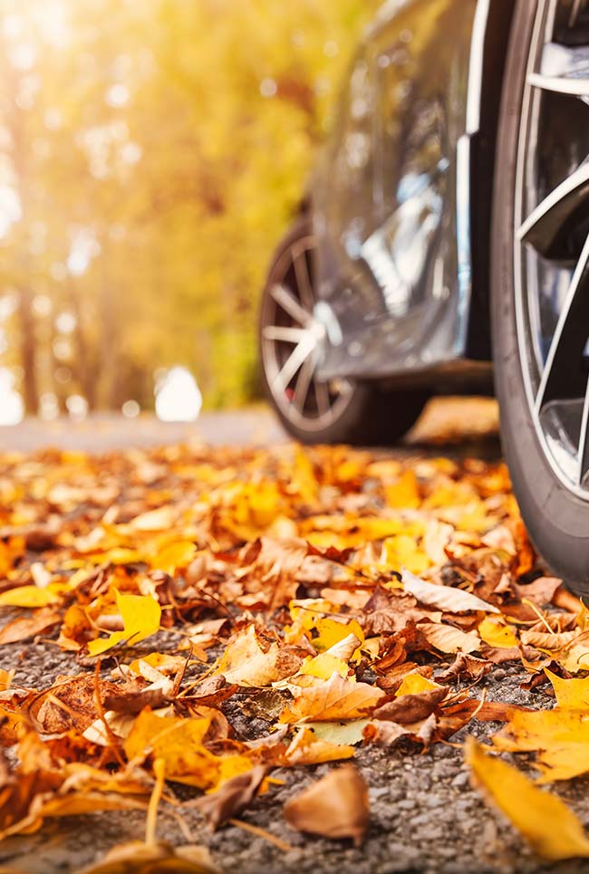 safe driving car in western Michigan Fall season